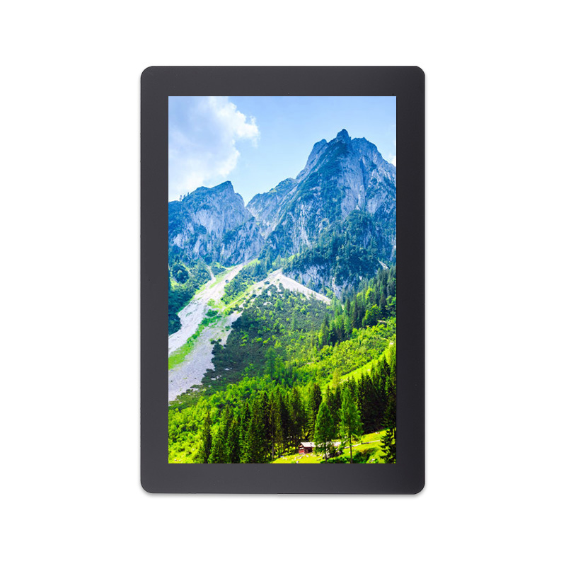 10.1 Inch 800x1280 Resolution IPS MIPI Interface LCD Module