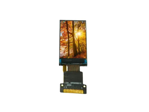 oled lcd module